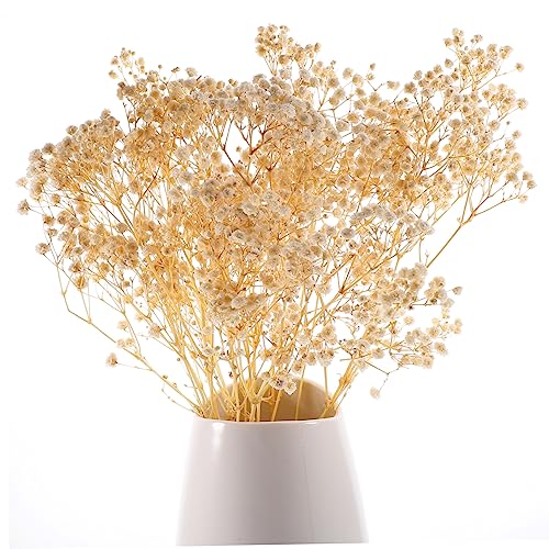 Ramo de flores secas Natural para decoración de hogar miniatura 4