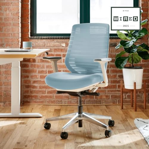 branch ergonomic chair