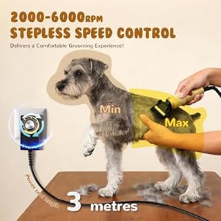 CGOLDENWALL Tosatrice per Cani 280W, Velocità Senza Passaggi 2000-6000RPM, Rumore Basso <50dB, Cavo 3m, 2 Lame Ceramiche Rimovibili, 2 Pettini Accessori per Cane, Gatto e Tutti i Tipi di Pelo (Dorato)