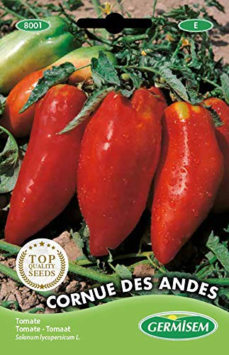 Germisem Cornue de Andes Graines de Tomate 0.2 g EC8001 Multicolore Cover