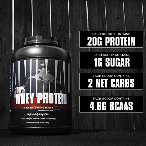 Animal 100% Whey Protein Powder – Whey Blend For Pre- Or Post-Workout, Recovery Or An Anytime Protein Boost– Low Sugar – Chocolate, 4 Lb #TOP2