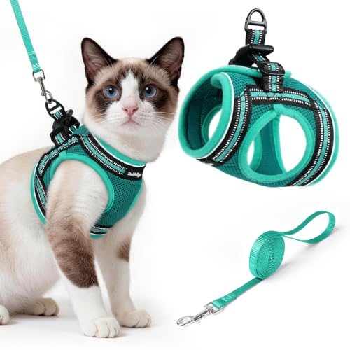 Image of rabbitgoo Cat Harness and Leash Set, Step-in Soft Vest, Turquoise & Green
