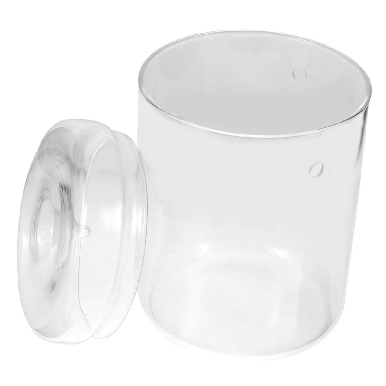 DECHOUS Terrario in Vetro per Ecosistema di Muschio, Vaso Decorativo Leggero e Resistente, per Scrivania e Soggiorno, per Piante e Fiori
