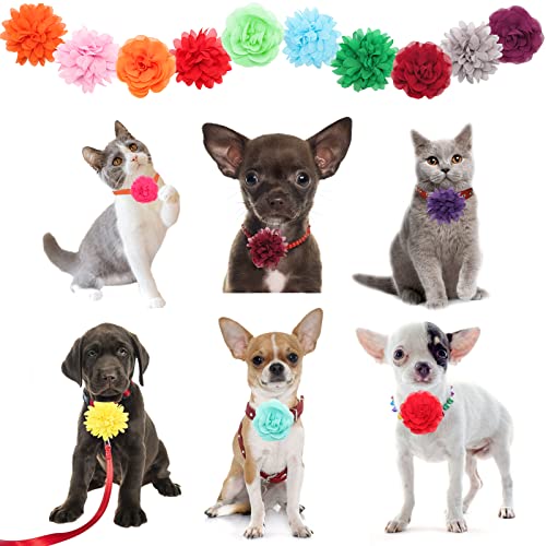 Catcan 20Pcs Dog Flower Collar Accessory, Multi-Color Pet Flower Collars 2 Style Soft Chiffon Dog Bow Tie Charms Flower For Puppy Collar Grooming Accessories