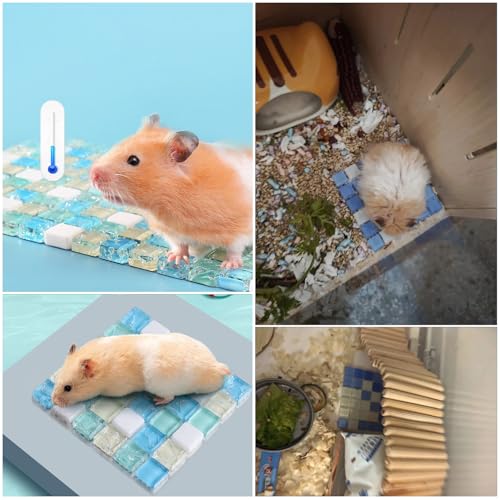 Image of 2 Pack Hamster Chiller Glass Stone Hamsters Cooling Pad Dwarf Hamster Bedding Cool Plate Tiles Ice Bed for Rabbits Guinea Pig Gerbil Chinchilla Bunny Ferret and Other Small Animals Small Pets