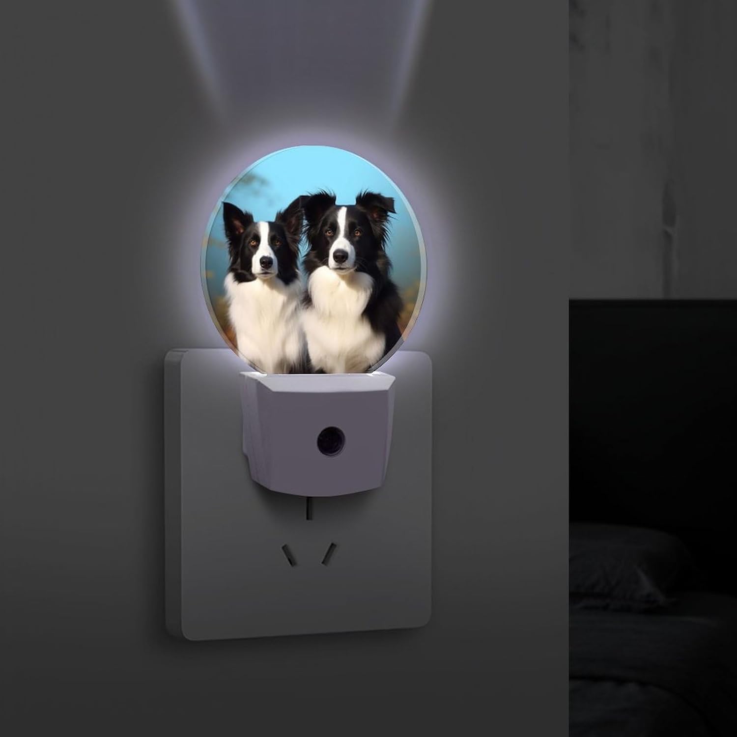 Border Collie Plug-in LED Nightlight Wall Night Light image 4
