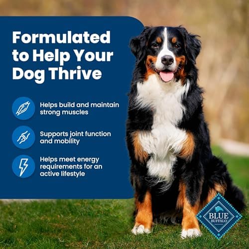 Blue Buffalo Life Protection Formula Adult Dry Dog Food, Helps Build and Maintain Strong Muscles, Made with Natural Ingredients, Chicken & Brown Rice Recipe, 30-lb. Bag : Pet Supplies Product Image