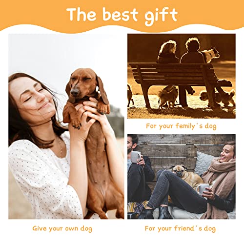 Dog Tuxedo And Bandana Set Dogs Formal Tuxedo Pet Wedding Party Suit Wedding Bow Tie Shirt For Wedding Christmas Birthday Costumes (Stripe Style,M) #TOP6