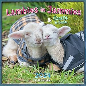 Lambies in Jammies & Goats in Coats 2024 Wandkalender