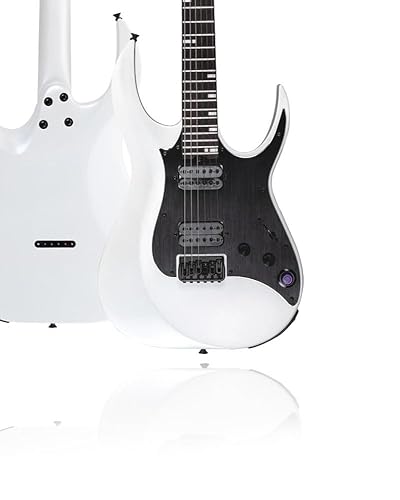Amazon.com: GTRS M800 Smart Electric Guitar Kit With Effects