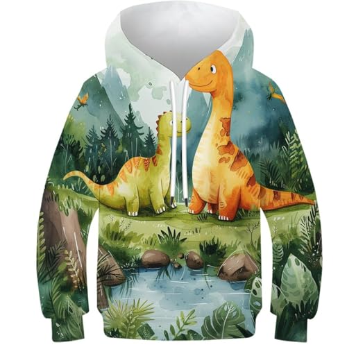 Sweat capuche dinosaure garçon 11-13Y veste manches longues poche 3D