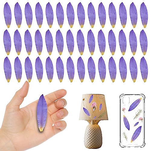 Pétalos secos naturales de flor de loto morados, 42 piezas miniatura 1