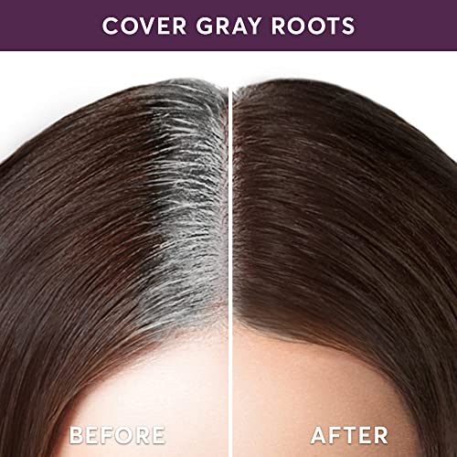 Madison Reed Root Touch Up + Brow Filler, Ombra Dark Brown, Instant Gray Coverage, Fills In Brows & Thinning Hairlines, Temporary Concealing Powder, 0.13 Oz (60 Uses) #TOP3