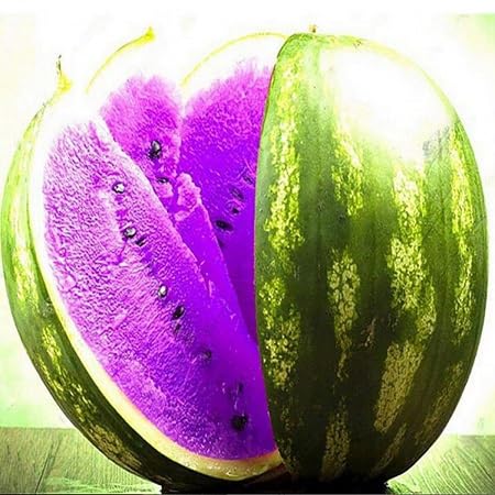 Watermelon Fruit Seeds 100pcs Purple