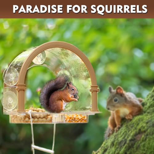 image for GelinRedcap Window Squirrel Feeder, Large Squirrel Feeder for Outside,