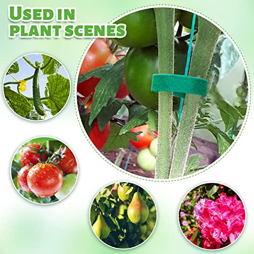 Cinta para plantas verde 6 rollos 196 pies miniatura 2