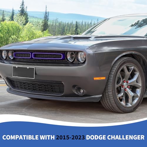 Image of RAZPOY Front Grille Inserts Grill Guard Compatible with 2015-2024 Dodge Challenger Exterior Accessories, Purple