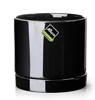 Aveyas Glossy Black Ceramic Pot with Saucer