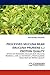 Produktbild PROCESSED MUCUNA BEAN (MUCUNA PRURIENS L.) PROTEIN QUALITY: EFFECTS OF PROCESSING MUCUNA BEAN (MUCUNA PRURIENS L.) FOR 3,4-DIHYDROXY-L-PHENYLALANINE REDUCTION ON PROTEIN QUALITY