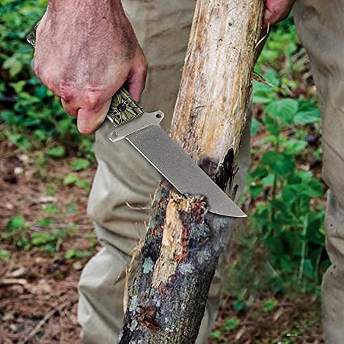 Cool Hand 3/8 Inch Thick Beast Tanto Survival Hunting Drop Point Fixed Blade Knife Stainless Steel, Kydex Sheath Belt Clip Paracord Attachment Included #TOP1