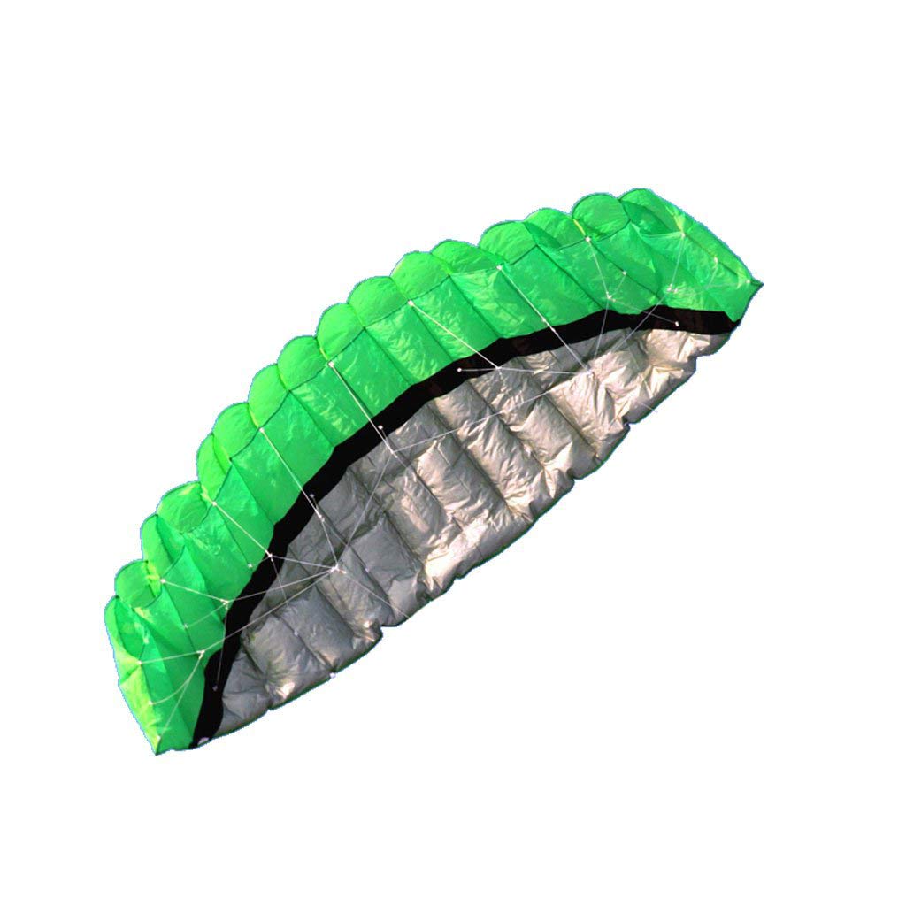 2.5m Outdoor Toys Dual Line Parafoil Parachute Stunt Sport Beach Green Kite