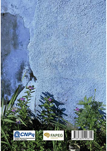 Outros fazedores de cinema: narrativas para uma poética da solidariedade