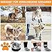 SupRovare 4 Stück Hundesocken Anti Rutsch,Doppelseitig Hundesocke mit Klettverschluss Riemen Leuchtband,Hunde Schuhe Outdoor,Sternenmuster Hundesocken Leckschutz,Hundeschuhe Winter,Hunde Hausschuhe(L)