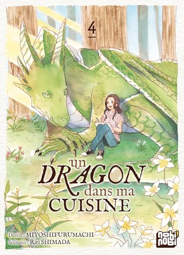 Un dragon dans ma cuisine T04