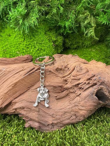 Onwomania - 'Hund Schnauzer Boxer Schlüsselanhänger - Metall Glücksbringer ideal als Geschenk z.B. für den besten Freund, die beste Freundin, Mama - Für Männer, Frauen & Kinder