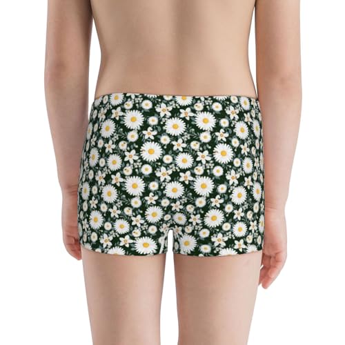 Boys' Cotton Boxer Brief Soft Underwear-White Daisies And Bee3