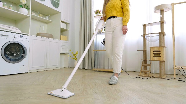 Amazon.com - Steam Cleaner, 6 in1 Rotated Steam Mop Cleaner with 2