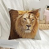 Contacto Visual Directo con La Cabeza. León Salvaje Asiático Joven. Animales Salvajes.Ataque. Leo. Depredador Funda De Cojín Cuadradas Funda De Almohada Moderna Fundas Cojines para Sofá 45X45Cm