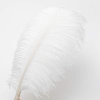 Vista 3 de 24 piezas de plumas de avestruz blanco natural de 10-12 pulgadas (25-30cm) para centros de mesa de bodas y fiestas, arreglos florales y decoración