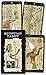 Egyptian Tarot Deck