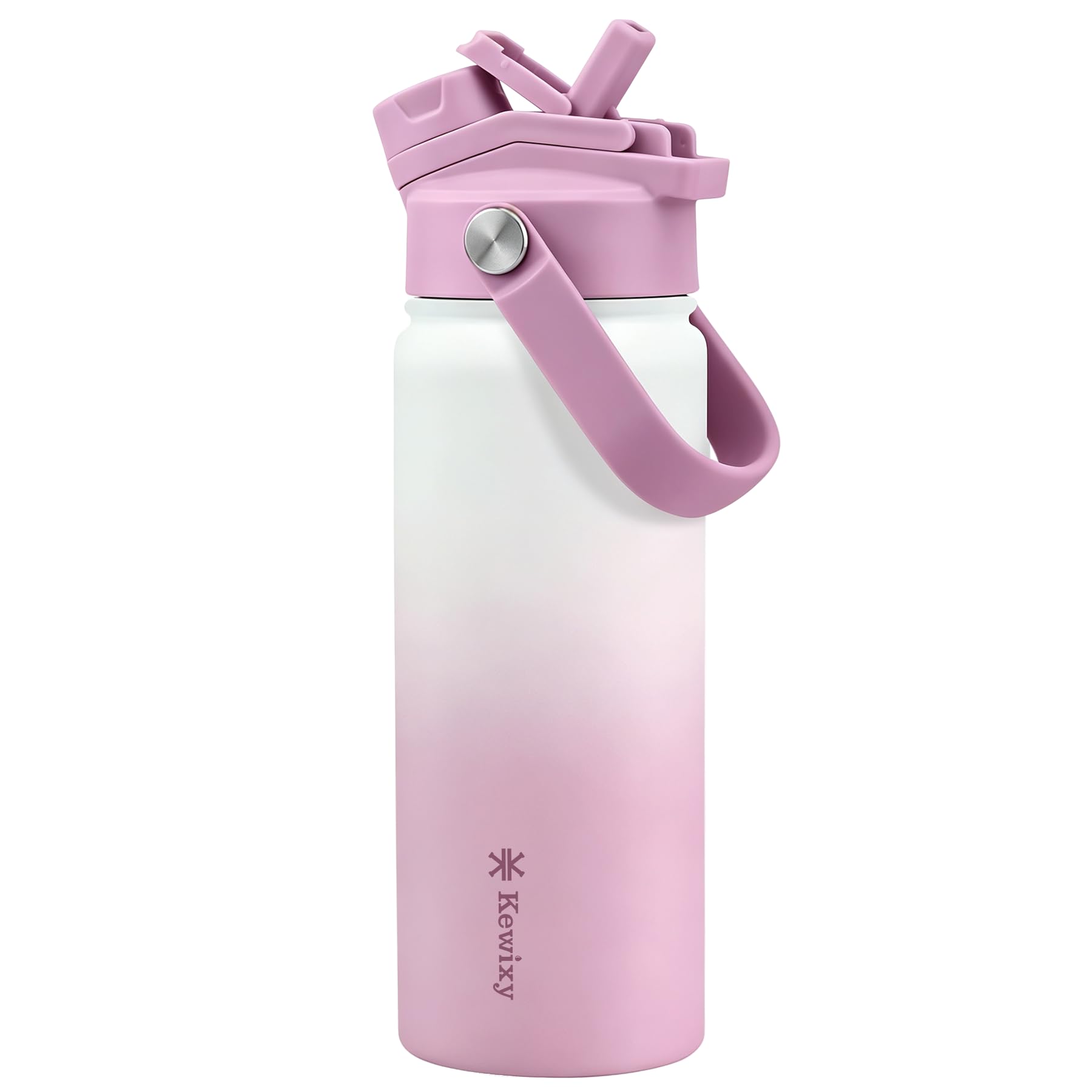 KEWIXY Stainless Steel Water Bottle 500 ml/18 oz, 2-in-1 Lid, Insulated Water Bottle with Straw, Leak Proof, Carry Handle, Fits Cup Holders, for Sports, Gym, Work (Iced Plum)