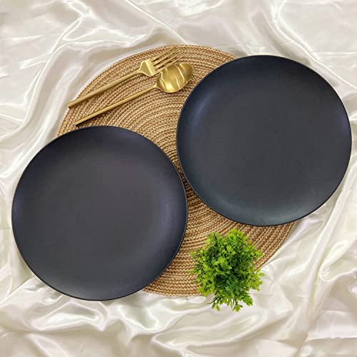 CERAMIC DINING Chic Matte Black Ceramic 10.2 Inchs Dinner Plates – Set of 2 (Microwave & Dishwasher Safe)