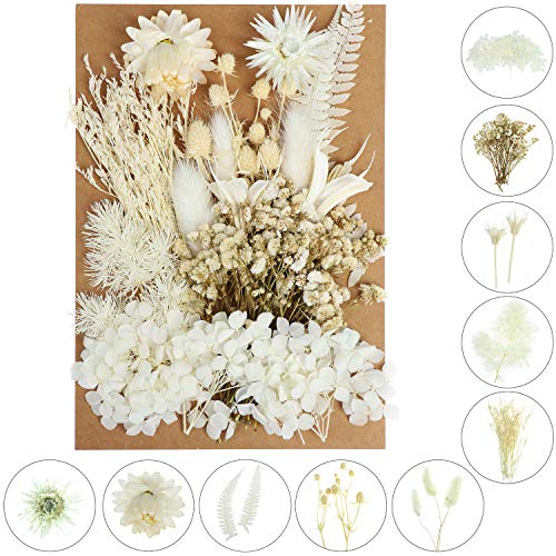 Flores secas decorativas variadas 131 piezas para manualidades miniatura 4