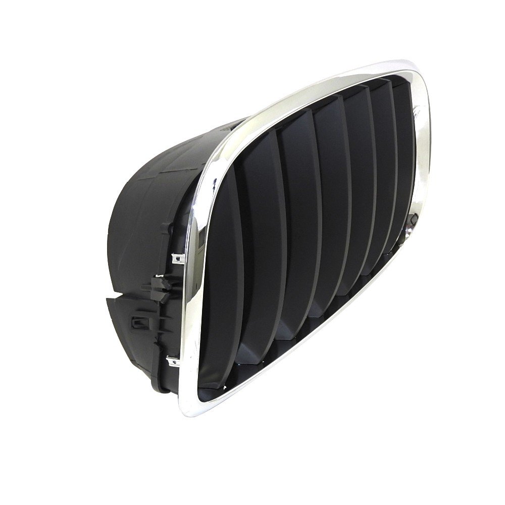 Amazon.com: Perfit Liner New Front Left Driver Side Chrome Black  