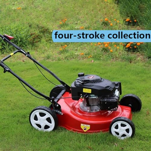 Self-Propelled Grass Cutting Machine, 20 inch Small Grass collectioner, Park Greening Gasoline Lawn Mower, 4400W 60L Grass Bag, 51 cm Cutting Width, 25-75 cm Adjustable 7 Cutting Heights - Image 3