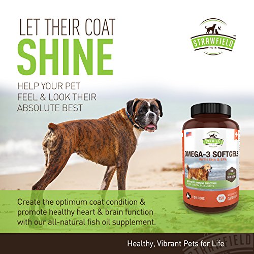 Omega 3 Fish Oil For Dogs, 250 Softgel Pills, 1000 Mg Epa Dha Dog Fish Oil Pet Supplement For Joint Support Arthritis Pain Relief, Allergy Itch, Shedding, Healthy Coat, Dry Itching Skin, Hot Spot, Usa #TOP4