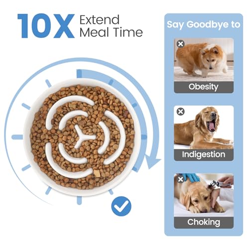 IDOGCHEW Antischlingnapf Hunde Keramik, Slow Feeder Hundenapf Ø 20.5cm, Futternapf Hund für mittelgroße und große Hunde, rutschfest, spülmaschinenfest, lebensmittelechtes Material (weiß)