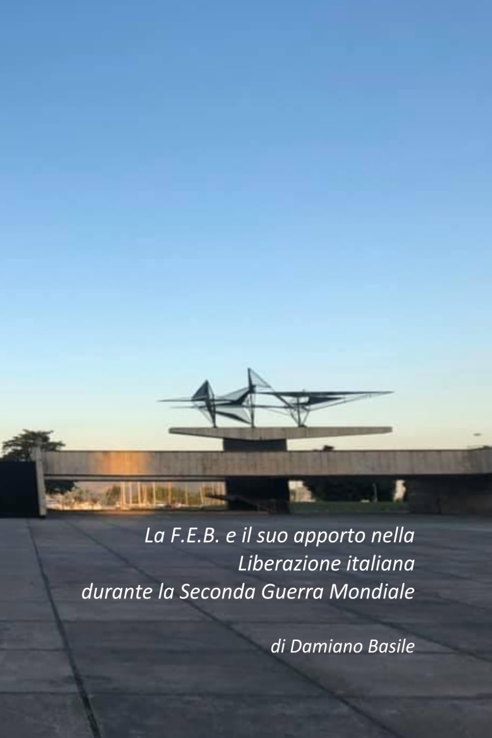 La F.E.B. e il suo apporto nella liberazione italiana dal nazi-fascismo durante la Seconda guerra mondiale