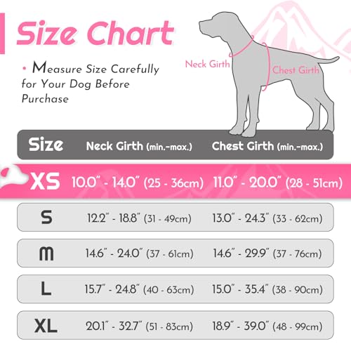 Image of Eagloo Dog Harness for Small Dogs, No Pull Pet Vest with 2 Leash Clips