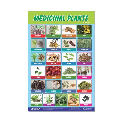 Image of ESCAPER Medicinal Plants Educational Charts for Kids, Charts for Kids Learning (11.5 x 17.5 inches), Kids Study Material, Kids Learning Books, Educational Posters