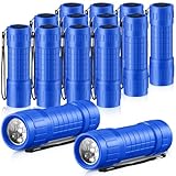 Tujoe 12 Pack Mini Flashlights Bulk for Kids Small Handheld LED Flashlights Torches with Lanyard for Emergency, Goody Bags, Party Favors, Night Reading, Camping,(Blue)