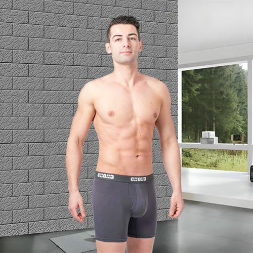 Image of Men's Underwear Micro Modal 3 Pack Boxer Briefs Men Fly