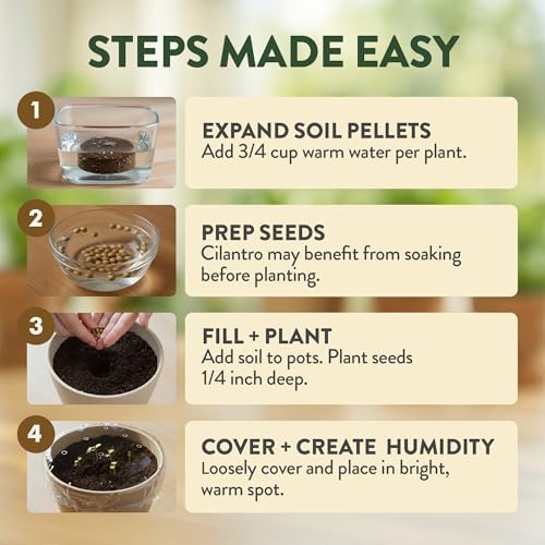 HOME GROWN Bonsai Tree Starter Kit – Unique Christmas Gift for Adults, Men, Women - Grow 4 Bonsais & HOME GROWN Herb Garden Planter Indoor Kit – Unique Christmas Gift for Adults, Men, & Women - Grow 4 - image 7