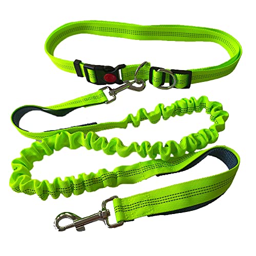 QitinDasen Laisse Chien Mains Libres Vert, Ceinture Ajustable et Laisse Élastique Rétractable à Double Poignée, Laisse Chien Jogging avec Coutures Réfléchissantes (Poignée Gris) Cover