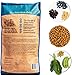 Wild Earth Dog Food for Allergies, Vegan Dry Dog Food, Plant Based Kibble, Vegetarian, 4 Pound (Pack of 1), Vegetarian-Developed for Complete Nutrition (Discont'd - New Formulas Available)