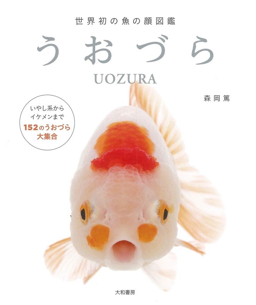世界初の魚の顔図鑑 うおづら | 森岡 篤 |本 | 通販 | Amazon